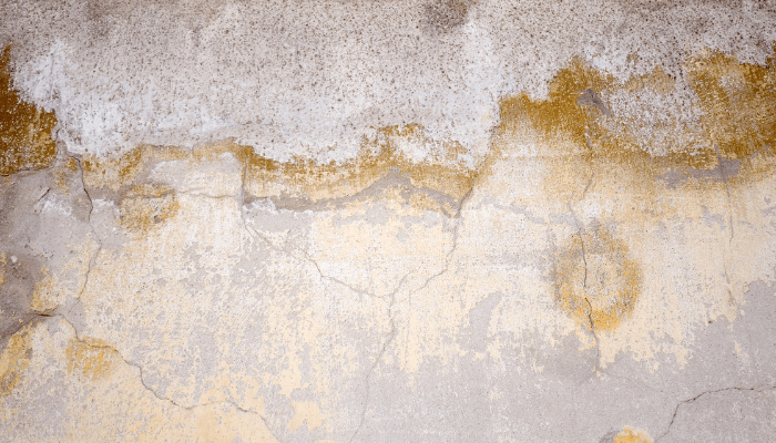 eliminar humedad por condensacion pared
