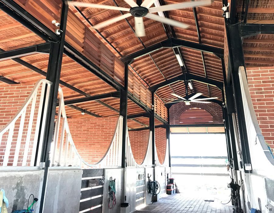 Aplicaion-Livestock-techo-ventilador
