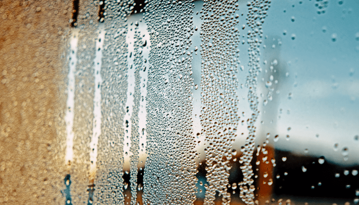 how-to-eliminate-condensation-humidity