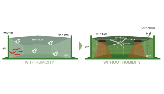 energy-efficiency-in-ventilation-efficiency.
